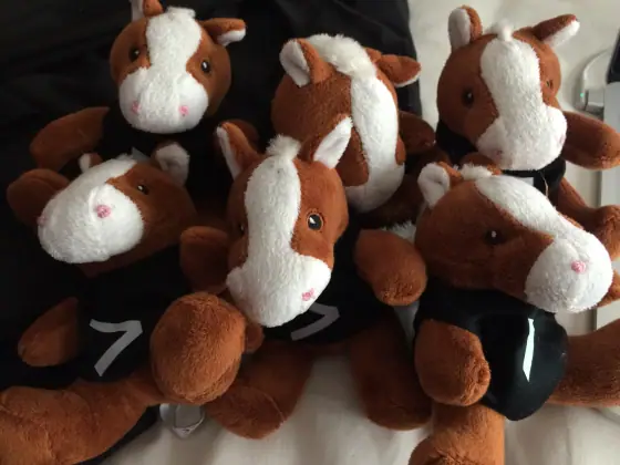 Buttercup — The Splunk Gallery