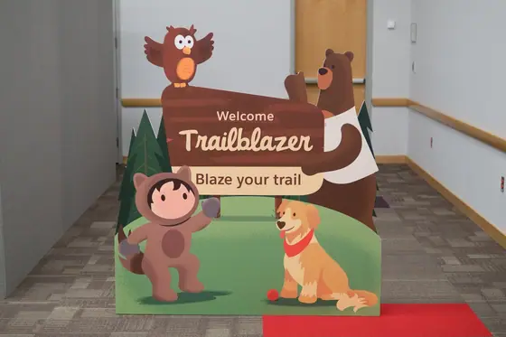 Astro and the Trailhead cast — An entrance, Salesforce World Tour Toronto