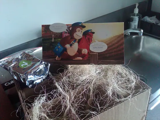 Freddie — MailChimp World HQ kitchen
