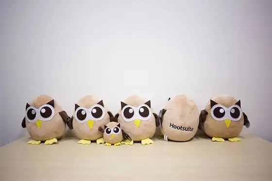 Owly — Flickr, Hootsuite office