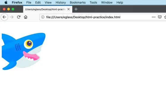Sammy — a DigitalOcean tutorial on adding images to a webpage