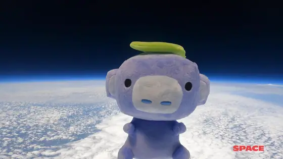 Wumpus — Shacknews coverage of the Snowsgiving 2021 finale
