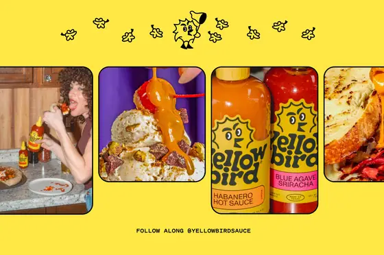 the Bird — yellowbirdfoods.com, the homepage