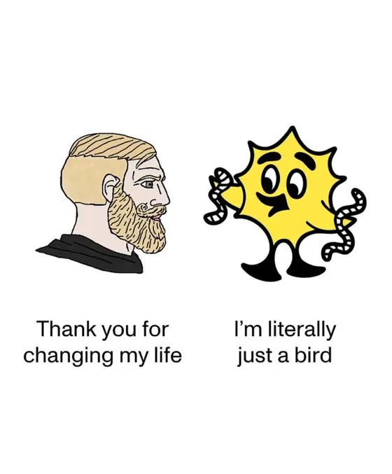the Bird — @yellowbirdsauce